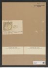 Aulacodiscus kilkellyanus Grev. (de-Toni-Nr.: Genus 182, Species 4500) Zeichnungen Sammlung Grunow Nr. 8064 (NHMW-BOT-W0377386)